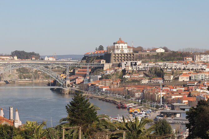 Porto Private Tour - What the day feels like on the ground: timing, comfort, and expectations