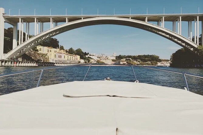 Porto : Private Tour to the Louis Bridge, group price up to 6px - Ponte da Arrábida: reinforced concrete with a world-record feel