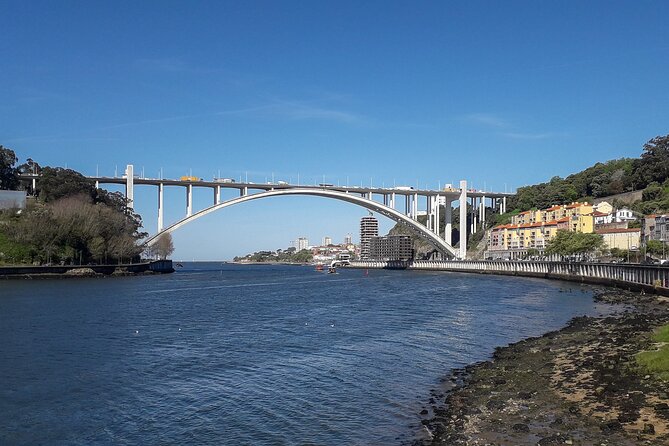 Porto Riverbank E-Bike Tour - Atlantic Coast, Gardens - Pacing and photo strategy: how to get the most from short stops