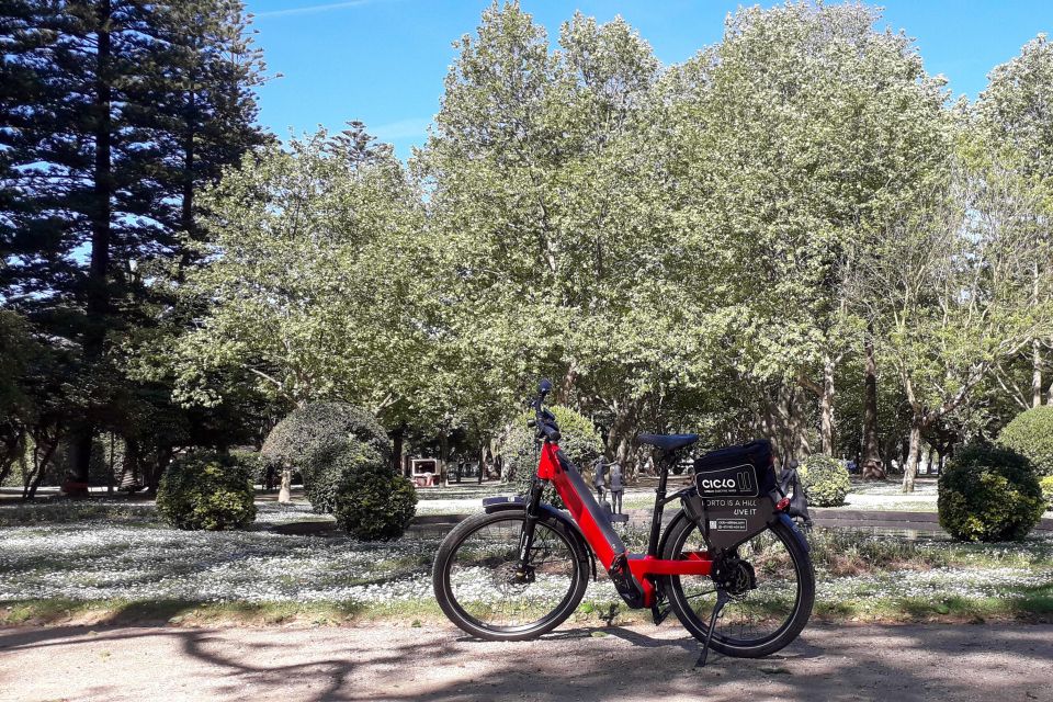 Porto Riverbank Tour on an e-bike: Atlantic Coast, Gardens - Jardim do Passeio Alegre: A City-Garden Pause You’ll Appreciate