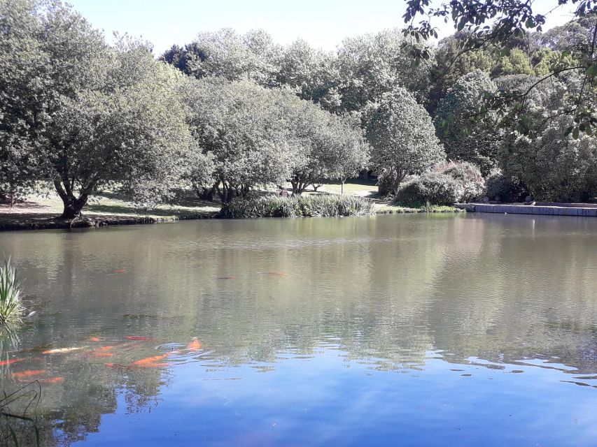 Porto Riverbank Tour on an e-bike: Atlantic Coast, Gardens - Castelo Do Queijo and Matosinhos Beach: Coast Stops with Real Variety