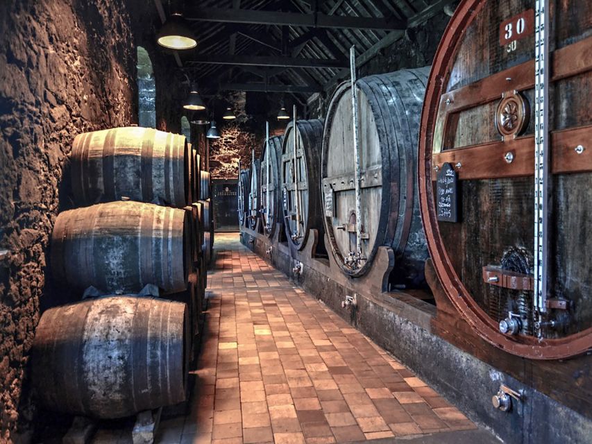 Porto: Self-Guided Bike and Boat Tour with Port Wine Tasting - Rabelo boat time: under six bridges in about 50 minutes