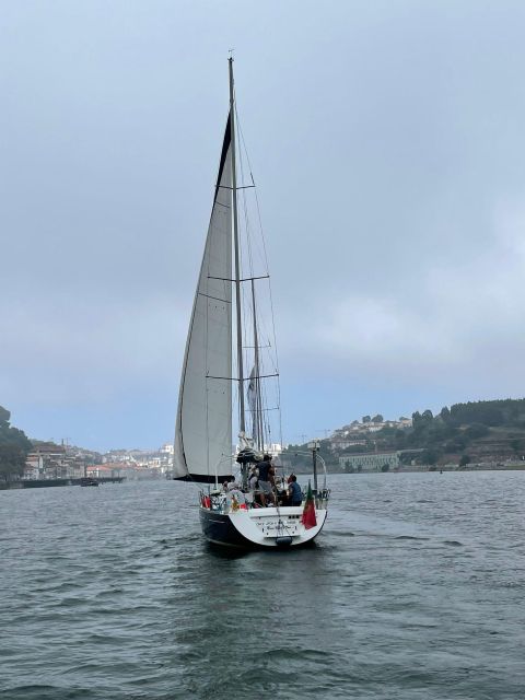 Porto: The Best Douro Boat Tour - Key things that make this Douro sailing tour worth your time