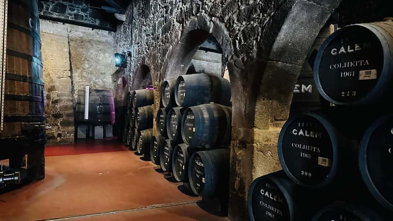 Porto to Gaia Experience: City Walk and Wine Cellars - Key Highlights You’ll Actually Feel
