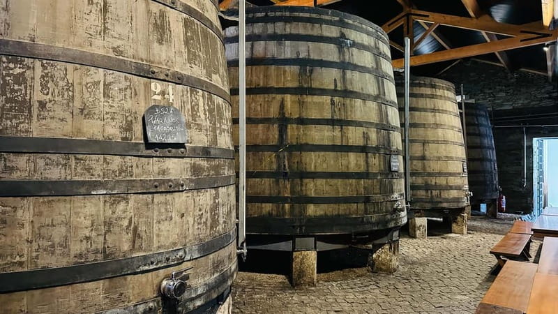 Porto to Gaia Experience: City Walk and Wine Cellars - Why Porto to Gaia Works as a Short Wine Trip