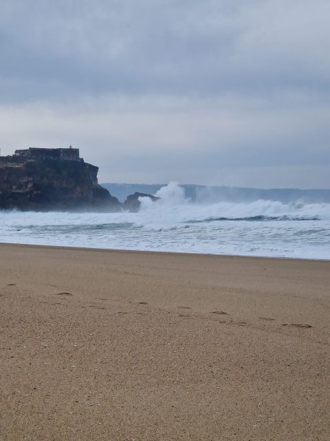 Porto to Lisbon with Aveiro-Coimbra-Fátima-Nazaré-Óbidos - Vehicle Comfort, Wi‑Fi, and Group Size Reality Check