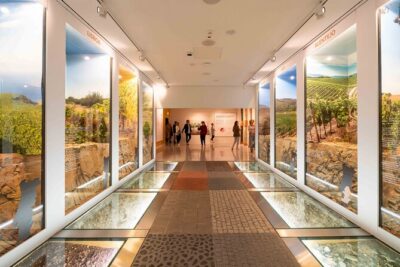 Porto: Wine Experience Museum with 3 Wine Tastings - Sensory stations and aroma challenges: where the learning clicks