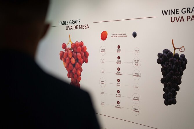 Porto: Wine Experience Museum with 3 Wine Tastings - Price and value: what $30.23 gets you in Porto