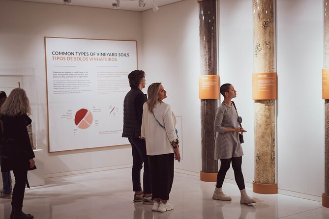 Porto: Wine Experience Museum with 3 Wine Tastings - Who this experience suits best