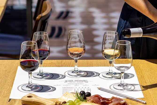 Porto Wine Tasting Experience with Portuguese Tapas Plate - Where You Start: Canto de Luz, Orangerie Vibes in Porto