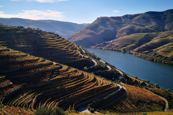 Premium Private Douro Tour: 3 Wineries with Tastings & Lunch - Key highlights worth planning around