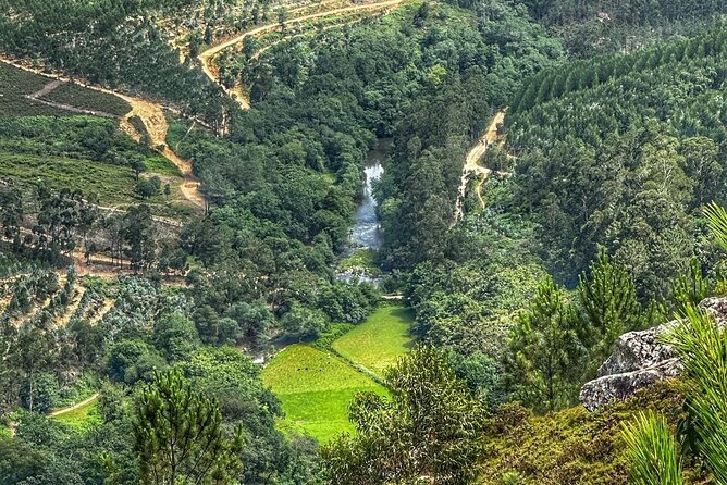 Private 4x4 Mountain Tour from Porto - Weather, Fire-Risk Alerts, and Route Changes You Should Expect