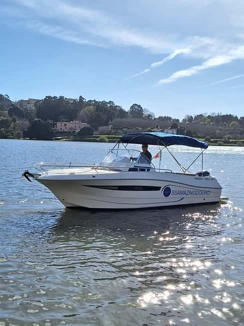 Private Boat Tour in Porto with Portuguese Tapas Option - The boat experience: comfort, pacing, and what’s included