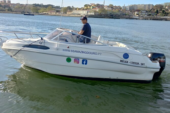 Private Boat Tour on the Douro River at Sunset - The Douro route: bridges, Ribeira, Gaia, and why the order matters