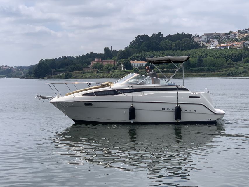 Private Cruise in Rio Douro - 2 hours - Up to 8 Passengers - Marina do Freixo: your boarding point (and why it’s convenient)