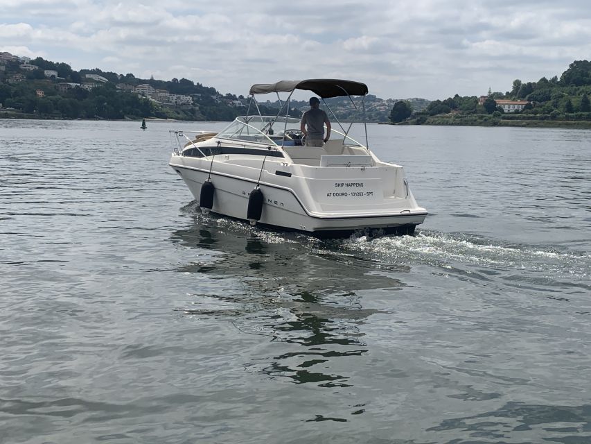 Private Cruise in Rio Douro - 2 hours - Up to 8 Passengers - Should you book this private Douro cruise?