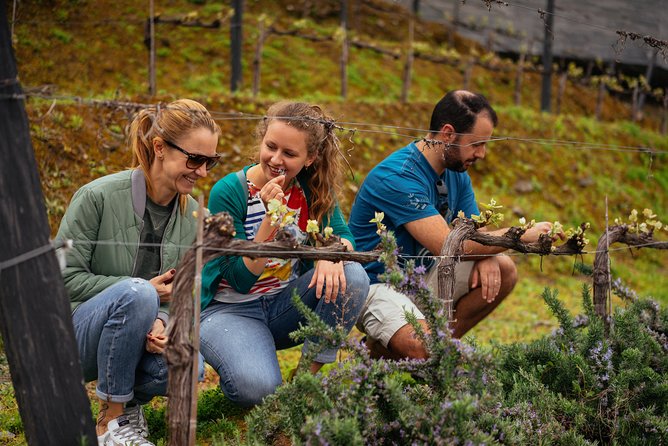 PRIVATE Day Trip Through Enchanting Douro Valley by Car & Boat - Porto to the Douro in one day without the stress