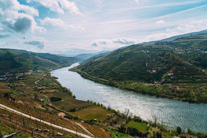 PRIVATE Day Trip Through Enchanting Douro Valley by Car & Boat - Quinta do Infantado: tasting in the Cima Corgo sub-region