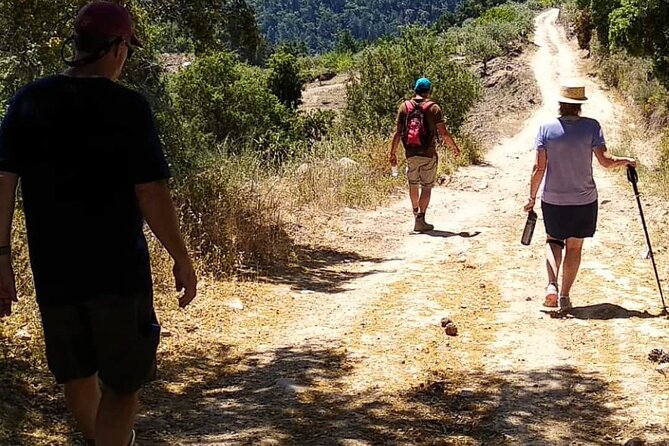 Private Douro and Porto 4x4 Tour with Wine Tasting and Boat Trip - Wine tasting: how it fits with the day, not just the time