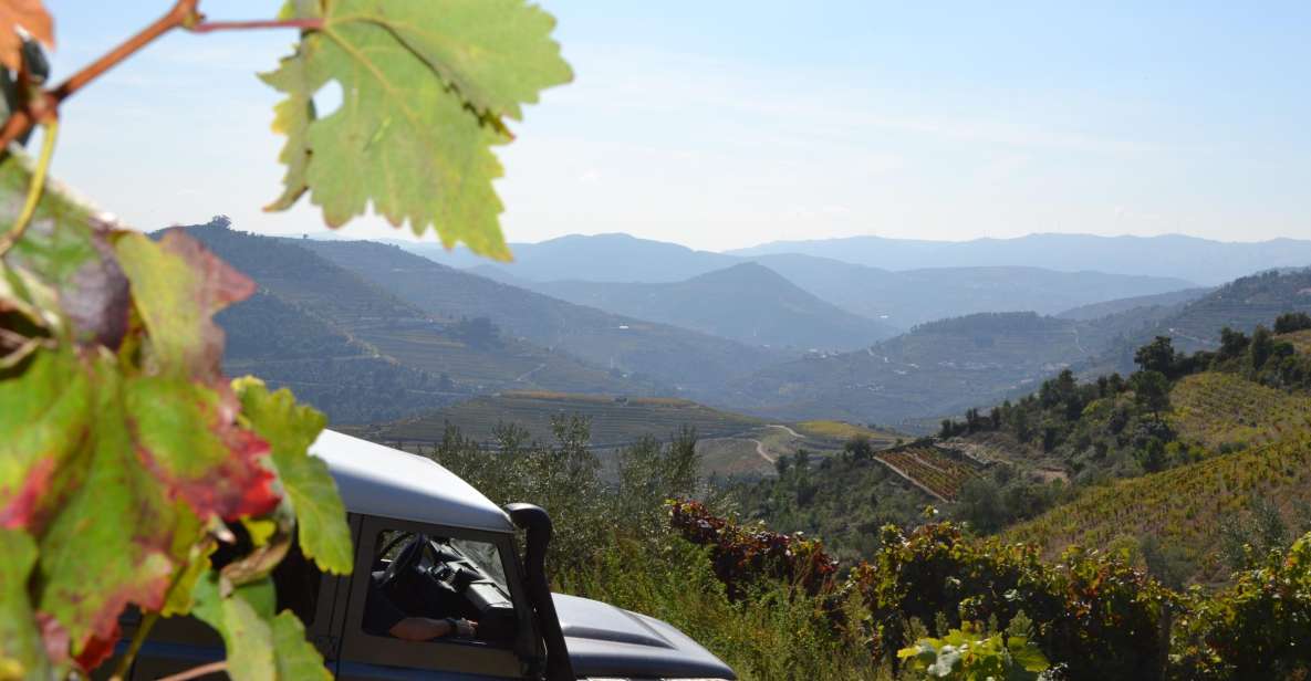 Private Douro Valley 4WD Tour with Wine Tasting and Picnic - São Leonardo de Galafura Picnic: The Meal with the View