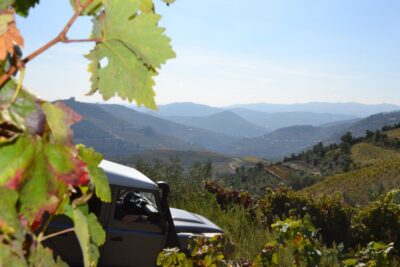 Private Douro Valley 4WD Tour with Wine Tasting and Picnic - Off-Road Viewpoints and the Heat Question You Should Plan For