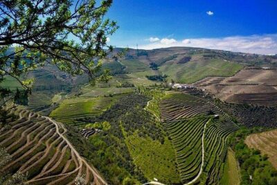 Private Douro Valley - Senses Experiences - Stop 1: Amarante Historic Center for a Quick Reset