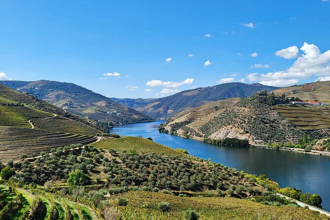 Private Douro Valley Tour (2 wineries + boat) - Key highlights (what makes it worth your time)