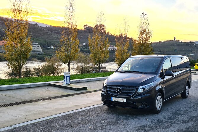 Private Douro Valley Tour (2 wineries + boat) - Peso da Régua to Douro River: a smart way to see more
