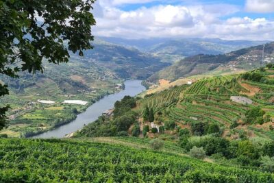 Private Douro Valley Tour (2 wineries + boat) - Stop 1 in Peso da Régua: small-producer tasting with wine and olive oil