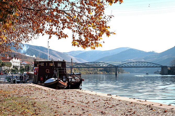 Private Douro Valley Tour: Boutique Winery & River Cruise - Porto to the Douro: pickup at 8:30 and how you stay comfortable