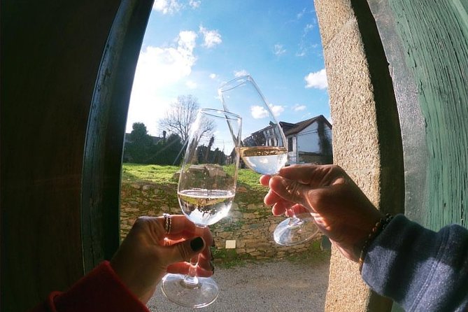 Private Douro Valley Tour from Porto - Returning to Porto: plan for a full day, not a quick detour