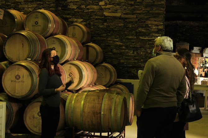 Private Douro Valley Tour from Porto - Port wine farm visit: seeing the roots of the flavor