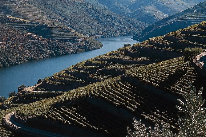 Private Douro Valley Tour Includes Wine Tasting and Boat Tour - Pinhão train station tiles, lunch time, and the Douro cruise