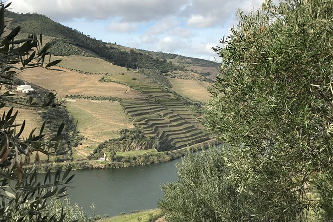 Private Douro Valley Tour Includes Wine Tasting and Boat Tour - Casal de Loivos viewpoint: the short stop that can save your photos