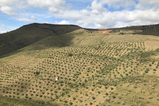 Private Douro Valley Tour Includes Wine Tasting and Boat Tour - The Fernão de Magalhães pass-by: history in the travel lanes