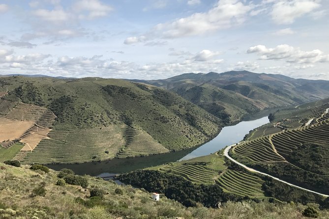Private Douro Valley Tour Includes Wine Tasting and Boat Tour - Should you book this private Douro Valley tour?