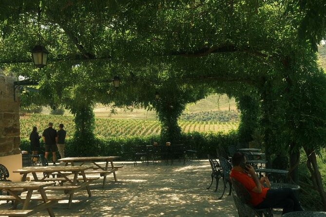 Private Douro Valley Tour with Lunch & Wines - Wine expectations: dry Douro, sweet Port, and what you’ll learn