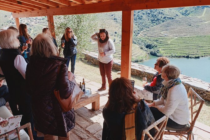 Private Douro Valley Tour with Sommelier, Lunch and Wine Tasting - Price and Logistics: What You’re Really Buying at $438.51 per Person