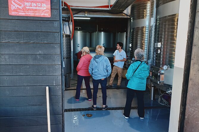 Private Douro Valley Tour with Sommelier, Lunch and Wine Tasting - Stop 4: Pinhão Train Station Tiles and the Douro’s Cultural Side