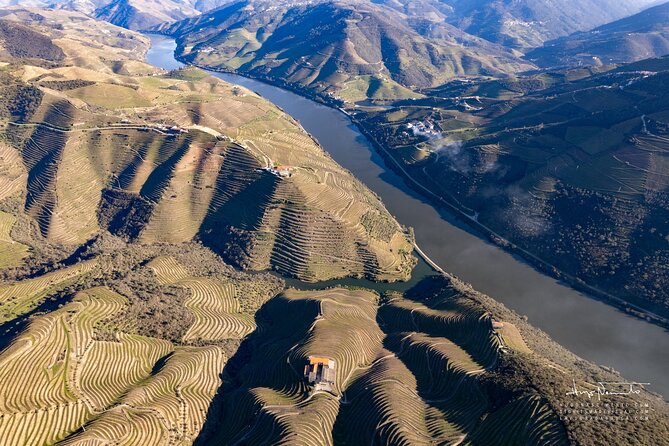 Private Douro Valley UNESCO Wine Tour from Porto with Lunch - Why This Porto-to-Douro Day Feels Efficient