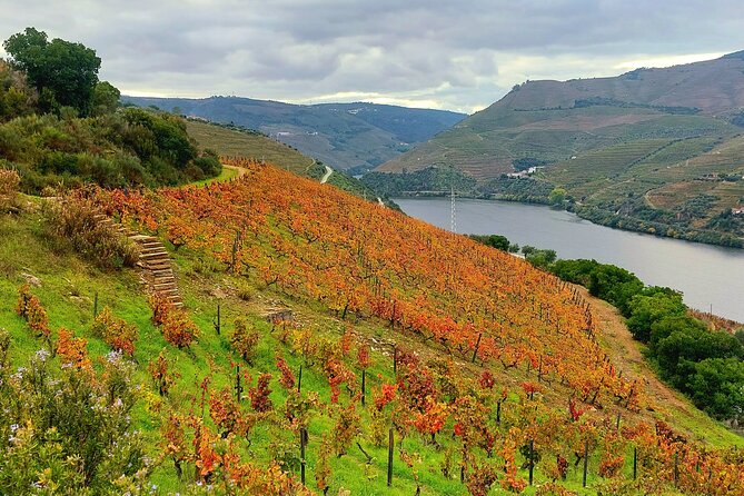 Private Douro Valley UNESCO Wine Tour from Porto with Lunch - Two Douro Wineries: Tasting Time Without the Guesswork