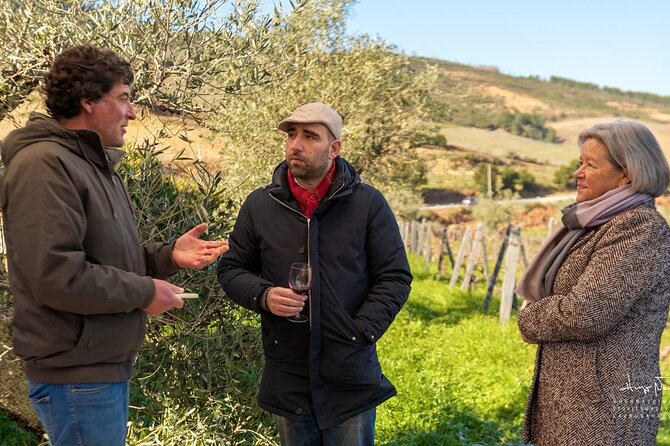 Private Douro Valley UNESCO Wine Tour from Porto with Lunch - The 1-Hour Douro Boat Trip: Views You Can’t Replace