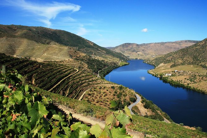 Private Douro Valley visit to three vineyards with Lunch from Porto - Why a private Douro day from Porto feels different than day tours