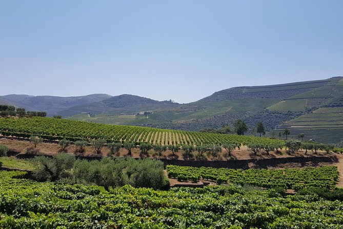 Private Douro Valley visit to three vineyards with Lunch from Porto - The Pinhão viewpoint and lunch break on the way into the hills