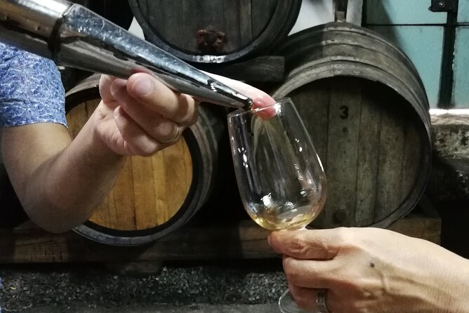 Private Douro Valley Wine Tour - Key highlights you’ll feel during the day