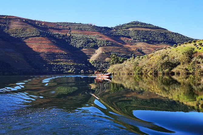 Private Douro Valley Wine Tour + Lunch and Boat Cruise - Key highlights you should know before you go