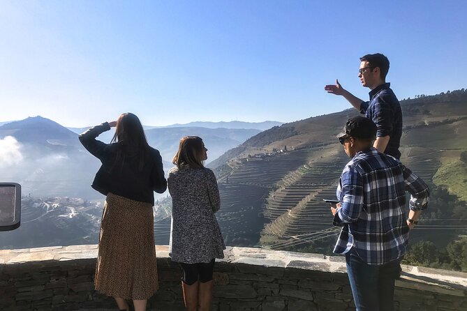 Private Douro Valley Wine Tour + Lunch and Boat Cruise - Family winery tastings: Douro wines and Port, with real context