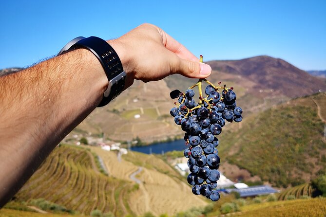 Private Douro Valley Wine Tour + Lunch and Boat Cruise - Lunch in the middle: where the day stops and tastes real