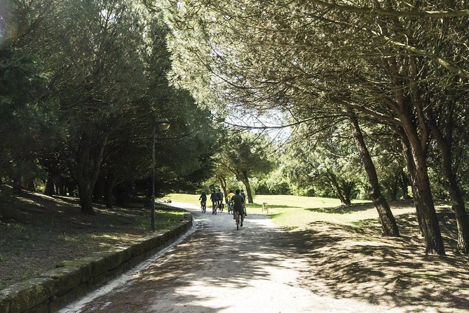 Private e-Bike Tour in Porto – Explore Riverside, Beaches & Parks - Price, pacing and how to ride safely in busy Porto