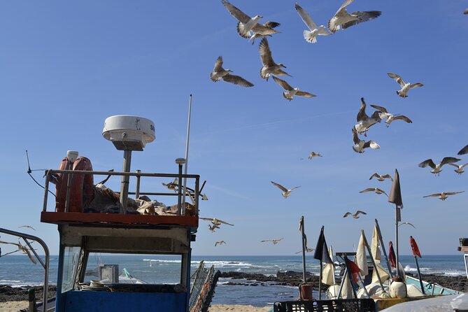 Private Fish Experience with Market-to-table lunch from Porto - Why Porto’s Fishing Day Feels Like a Real Local Errand